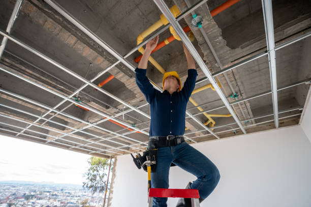 Best Plumbing Repair Near Me  in La Plata, MD