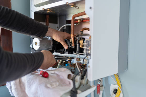 Best Local Plumber Services  in La Plata, MD